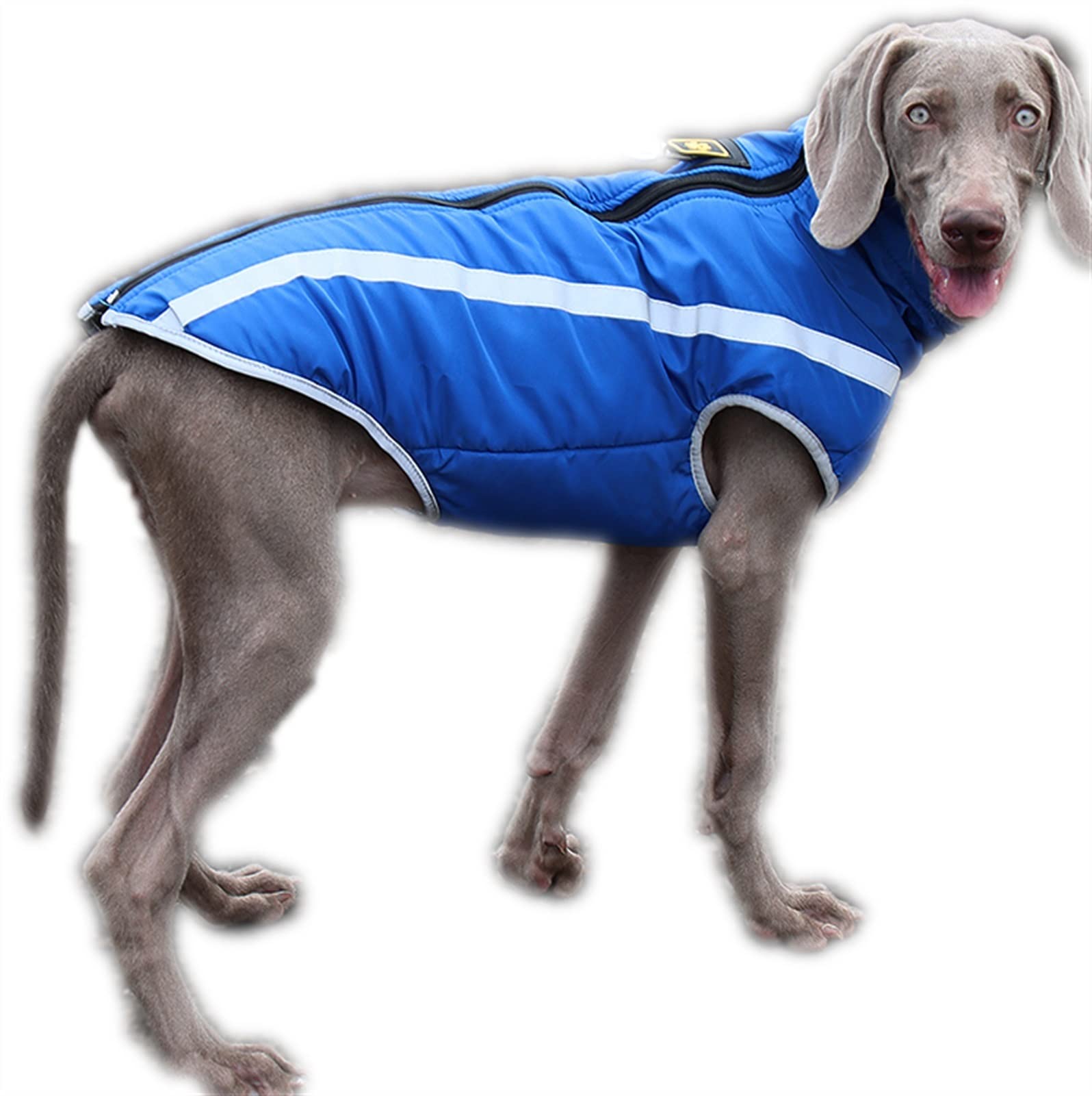 Amazon.co.jp: 犬のコート厚いジャケット大型犬用、冬の暖かい綿の犬の